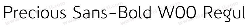 Precious Sans-Bold W00 Regular字体转换